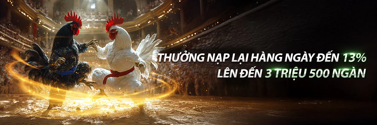 Đá Gà Trực Tuyến Hấp Dẫn tại Banca30 Link Vào